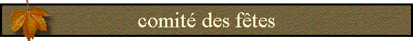 comit� des f�tes