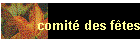 comit� des f�tes