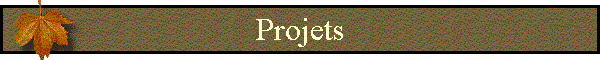 Projets